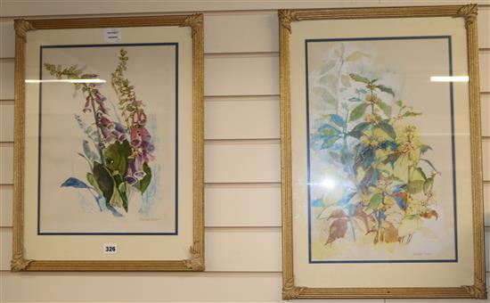 Susan Shaw, two watercolours, floral studies largest 49 x 31cm
